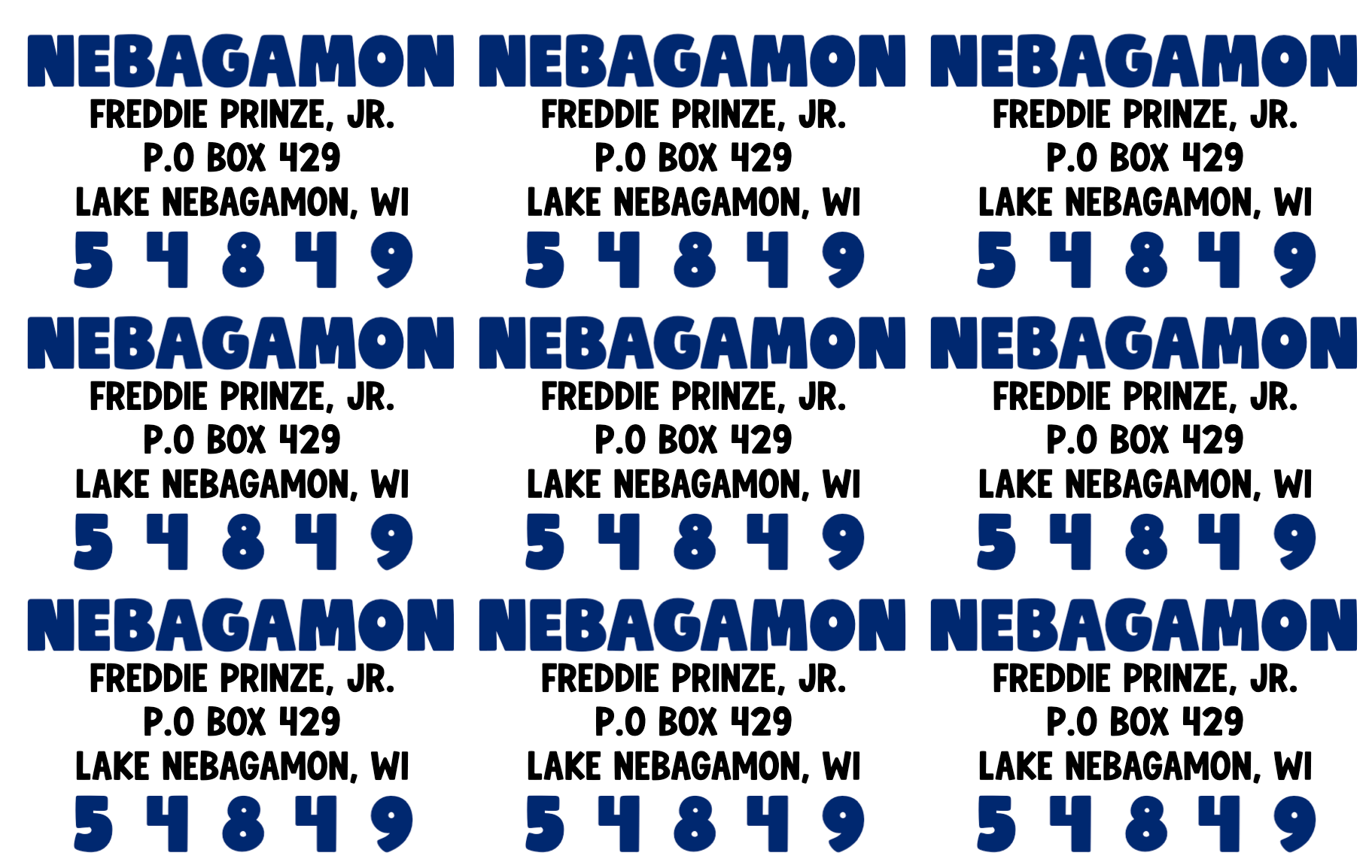 Big Bold Camp Return Address Labels